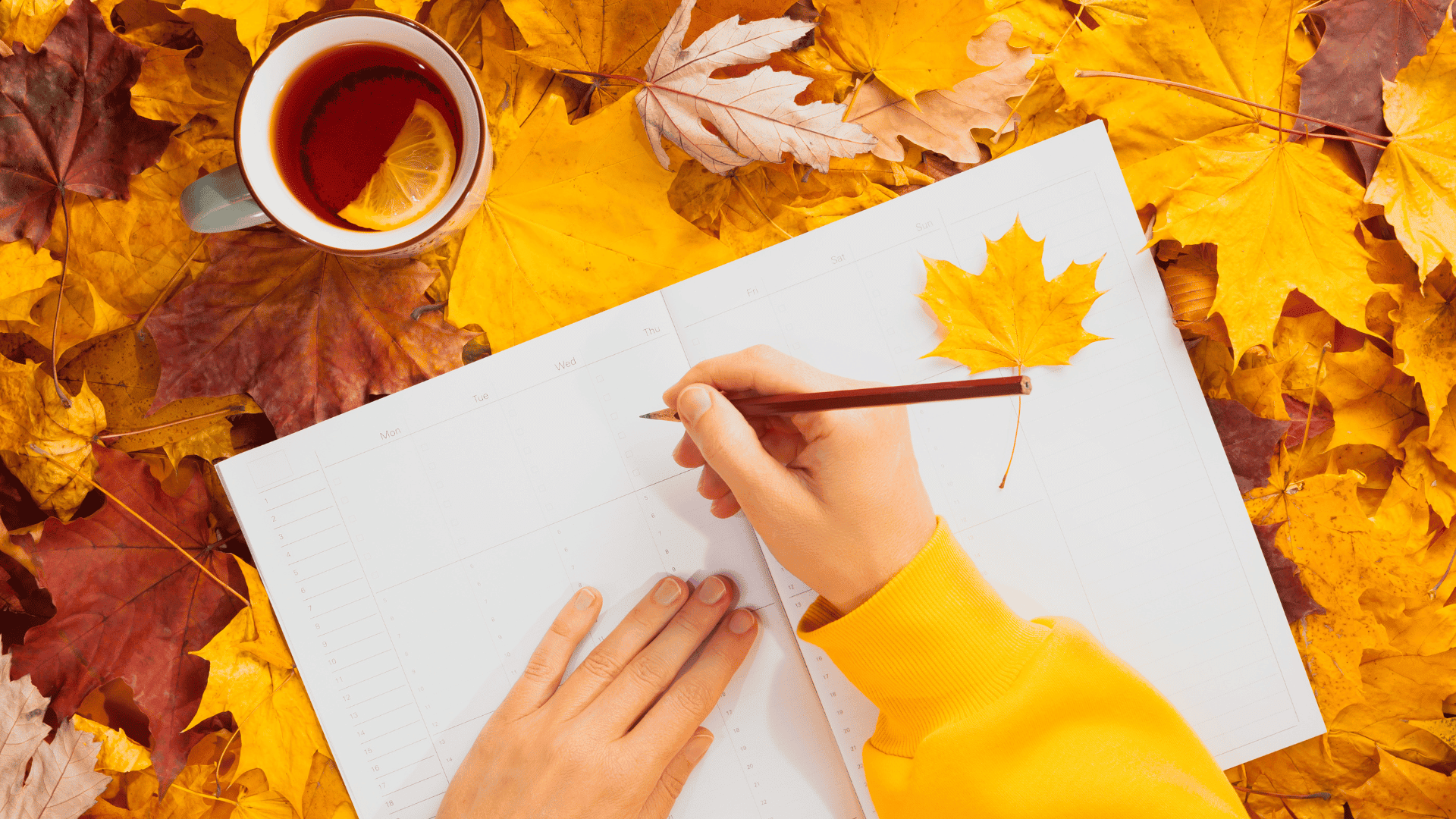 Fall Planning for Churches: Get Started Today!